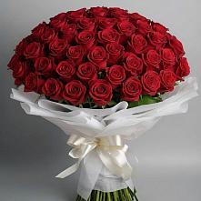 Букет 101 Красная роза Блэк Мэджик в Кемь