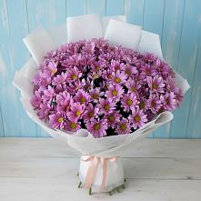 Букет цветов из:  Хризантемы в Кемь