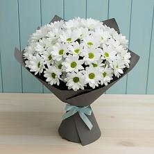 Букет цветов из:  Хризантемы в Кемь