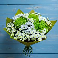 Букет цветов из:  Хризантемы #REPLACE_PRED# Кемь