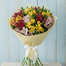 Букет цветов из:  Альстромерии в Кемь
