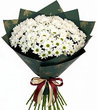 Букет цветов из:  Хризантемы в Кемь