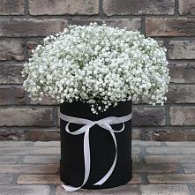 Цветочная композиция из Гипсофила в шляпной коробке в Кемь
