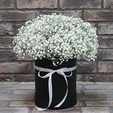 Цветочная композиция из Гипсофила в шляпной коробке в Кемь