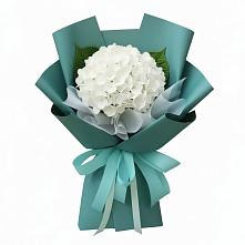 Букет цветов из:  Гортензия #REPLACE_PRED# Кемь
